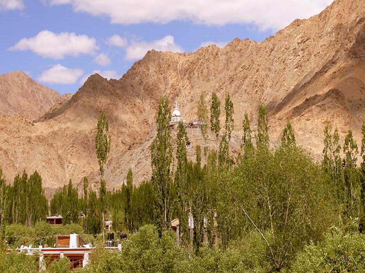 The Hotel Himalaya, レー エクステリア 写真